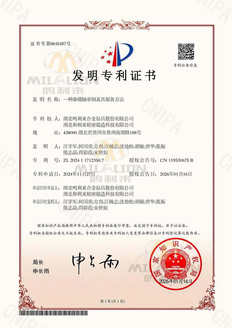 A boronized bearing steel and its preparation method